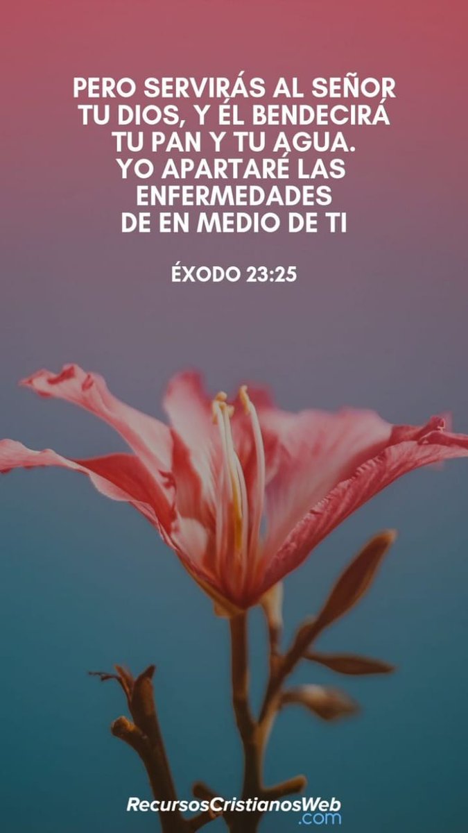 Segunda Milla VDB tweet media