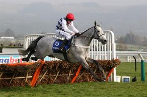JoeSeward1's tweet photo. @TheRacingJosh (1) But for injury how good might Simonsig have been ? Could he have won a Champion Hurdle
(2) Does @BarryJGeraghty remember wining on #FerbetJunior @Jessica_Racing
and #RiverPilot @tuvastables @punchestownrace 1999 both excellent front running rides if I remember correctly? https://t.co/cosbz40g60