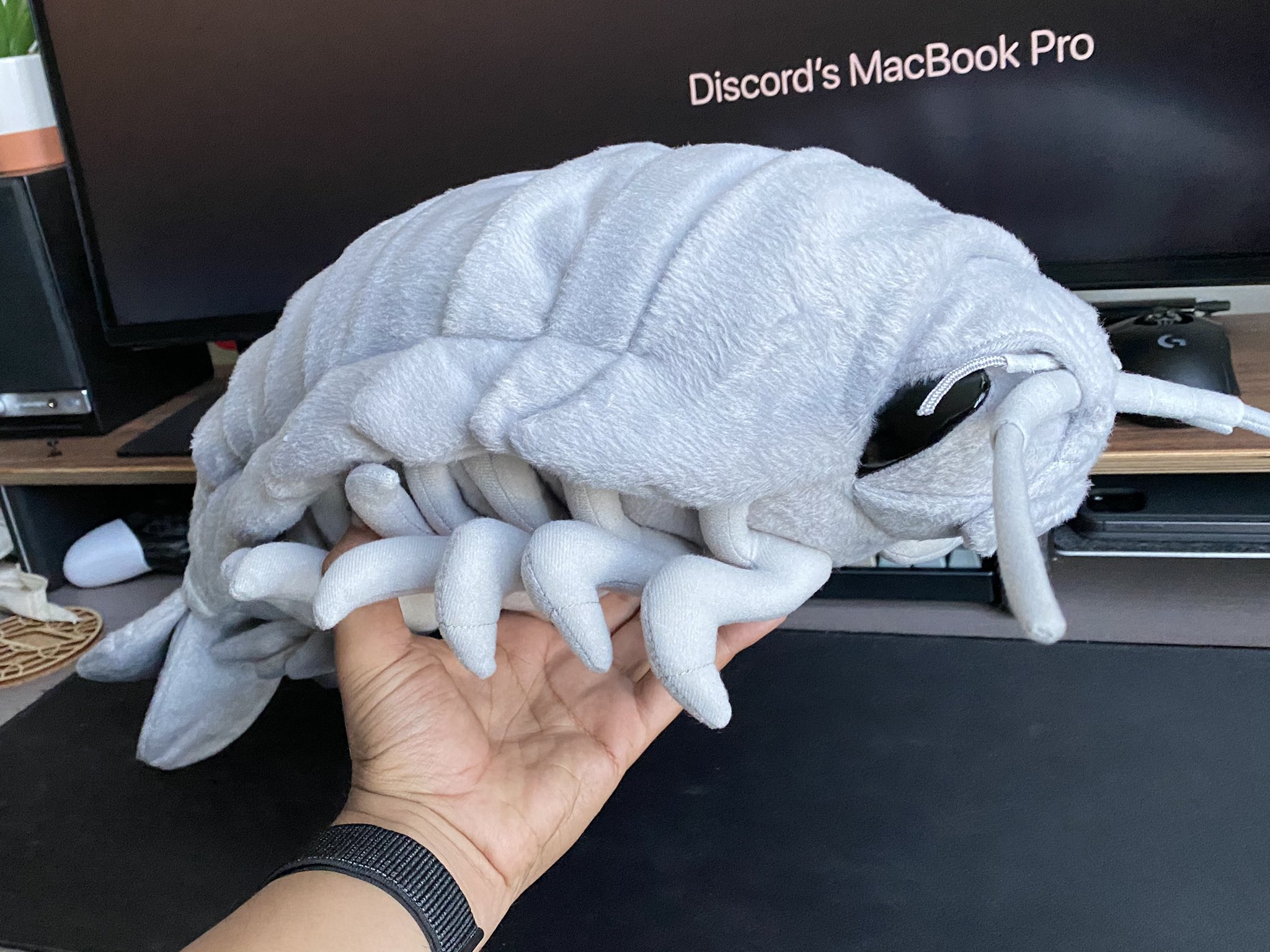 Giant isopod plushie sale