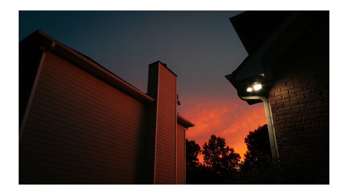 Evan Ranft tweet media