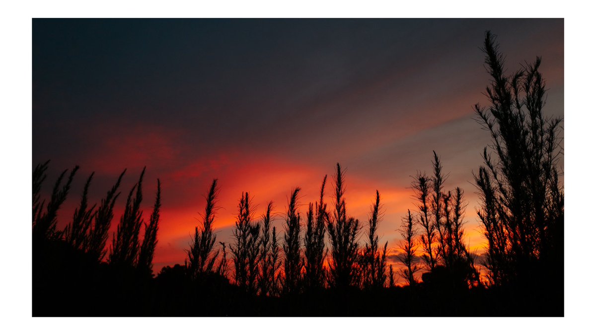 Evan Ranft tweet media