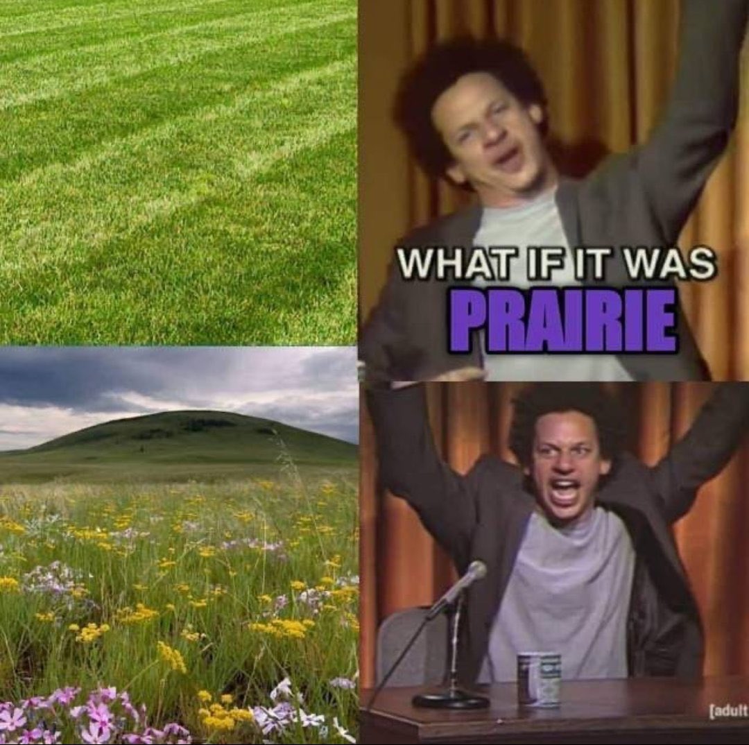 notkinz's tweet photo. I’m an anti lawn activist https://t.co/q5ZNC0T4jz