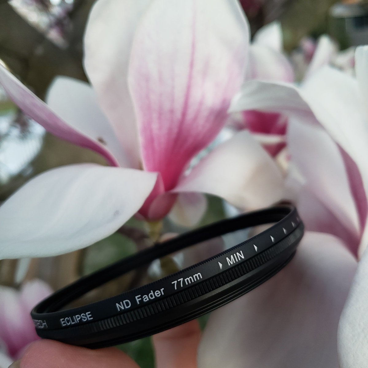 genus_products's tweet photo. Genustech Filters in stock #genus #genustech #outdoorphotography #filter #filters #filmcamera #camera #polarizer #nd #photography #filmgeeking #filmschool #photooftheday #fashionphotography #outdoorphotomag  #picoftheday #photography #streetphotography #photo #travelphotography https://t.co/BMNRHqlsDX
