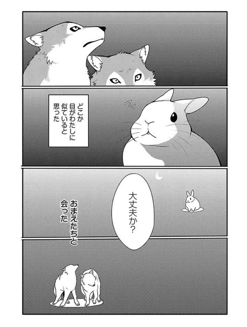 うさぎは正義100話更新されました
https://t.co/UdGCWJBVxO 