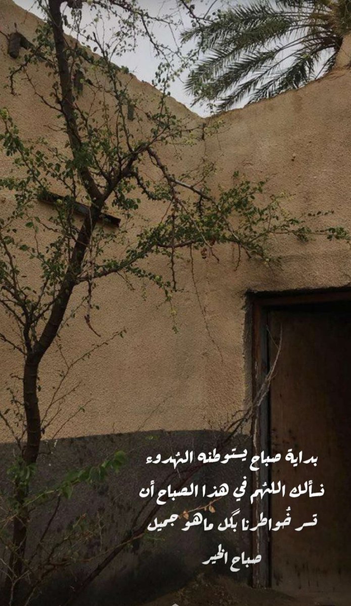 7aelh's tweet photo. صباح لطيف ..  ونهار  جميل  .. وصباح الخير للجميع 🕊 https://t.co/DzJdQOmazQ