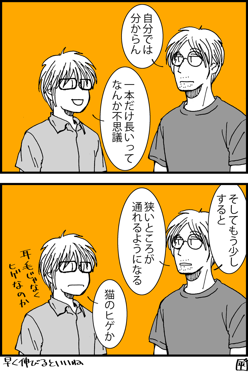 4コマ漫画。旦那の耳に生えてきた毛の話。 