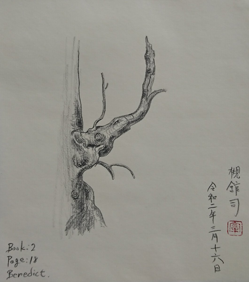 槻舘 司 川口市の画家 今日の一枚 今日は病院行ったり色々あるので過去絵ですみません こんなもんです でも またこんな風に 一本の枯れ枝を描けるようになれればいいな そこに魅力を感じる 絵 絵画 スケッチ デッサン イラスト 画家 絵描き