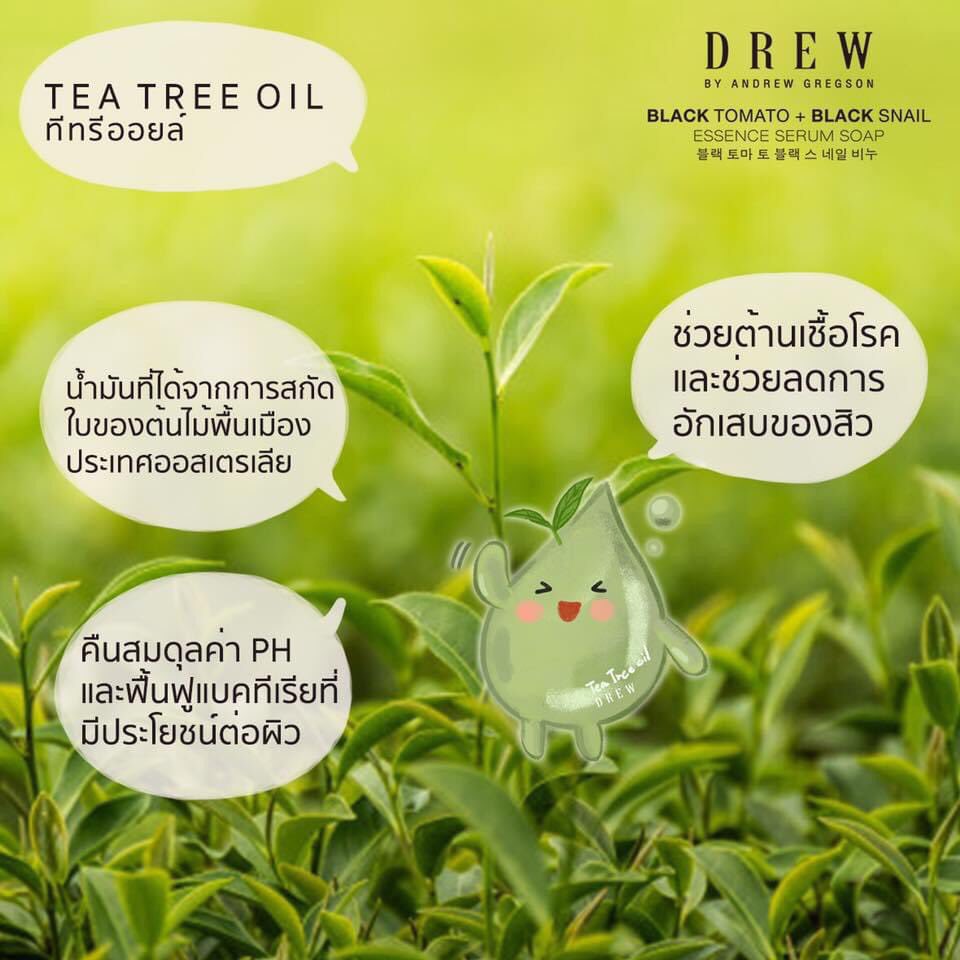 byAndrewGregson's tweet photo. สบู่DREW มีTea Tree Oil ที่ช่วยลดการอักเสบของสิวนี่เอง ลูกค้าหลายๆท่านเลยมารีวิวว่าช่วยเรื่องสิว

สั่งซื้อสบู่ที่นี่ครับ👉 https://t.co/yL0JMAZzU5

#drewbyandrewgregson #andrewgregson #สบู่พี่ดริว #สบู่ซีรั่ม #ลดสิว #สิว #cleansing #makeupremover #remover #soap #serumsoap #serum https://t.co/44bD4CQBN4