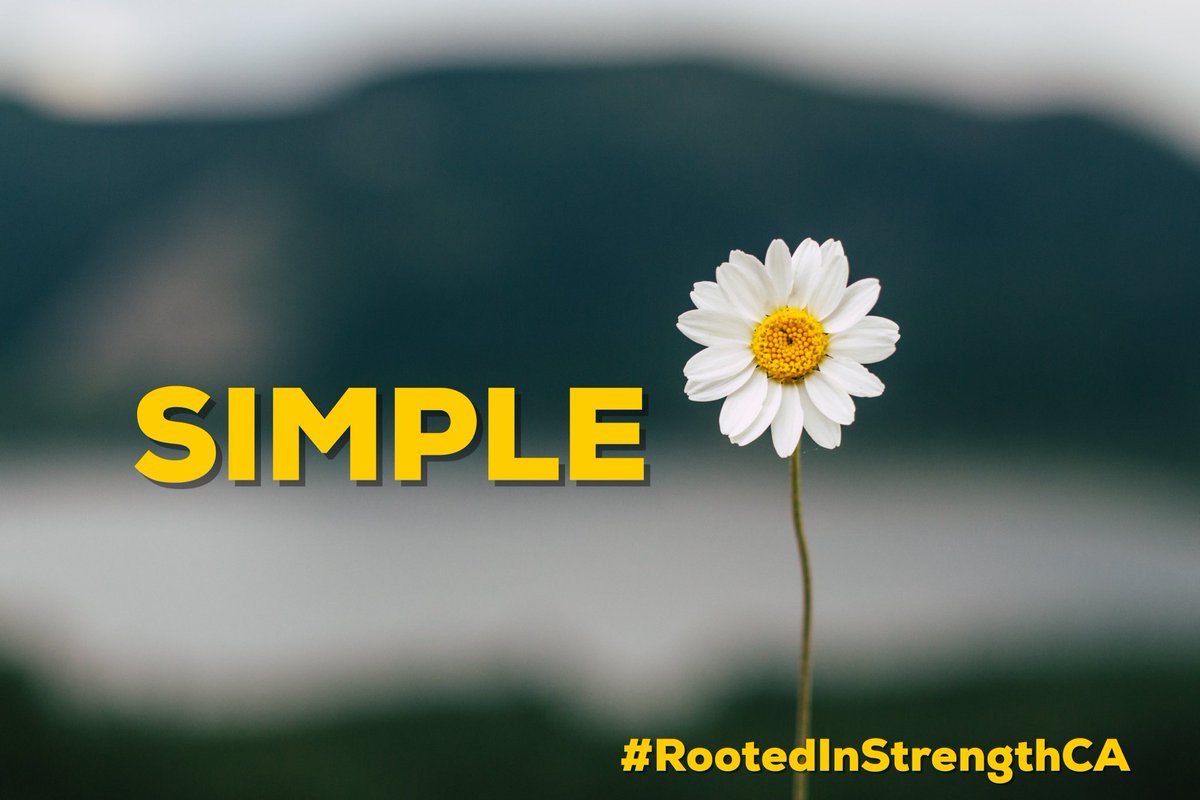 santiagoAM115's tweet photo. Keep it purely Simple! Don’t over complicate things. It does not have to be perfect or over exaggerated to be beautiful and radiant. The element of Simple can be the foundation of extraordinary! #RootedInStrengthCA #RootedInPositivity #SimplySimple https://t.co/2ldDGB11mc