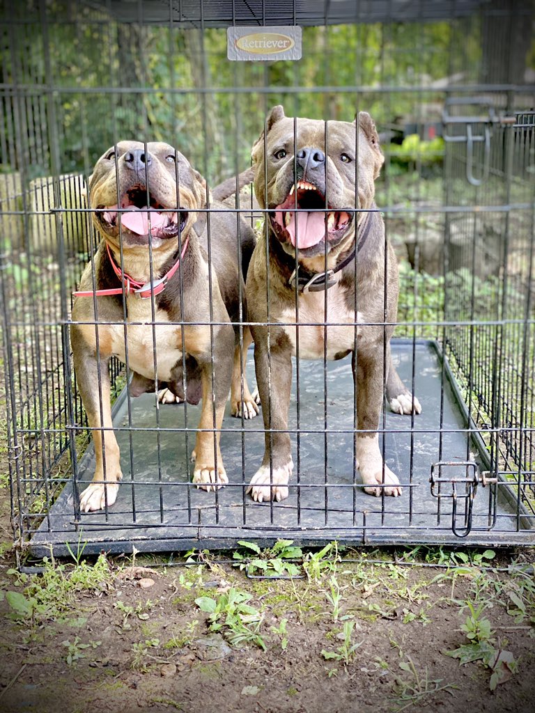 UntitledBuckets's tweet photo. My favorite picture of my kids 😌 https://t.co/hKBVsQTNQy