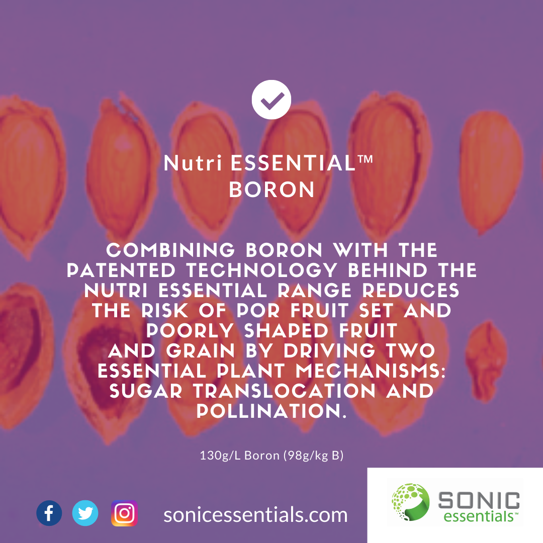 SonicEssentials's tweet photo. #NutriEssentials #Boron easy flowing liquid with unique #patented amino acid package. 130g/L (98g/kg) https://t.co/QOfgYMiRUR