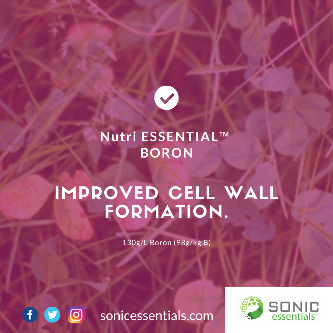 SonicEssentials's tweet photo. #NutriEssentials #Boron easy flowing liquid with unique #patented amino acid package. 130g/L (98g/kg) https://t.co/QOfgYMiRUR