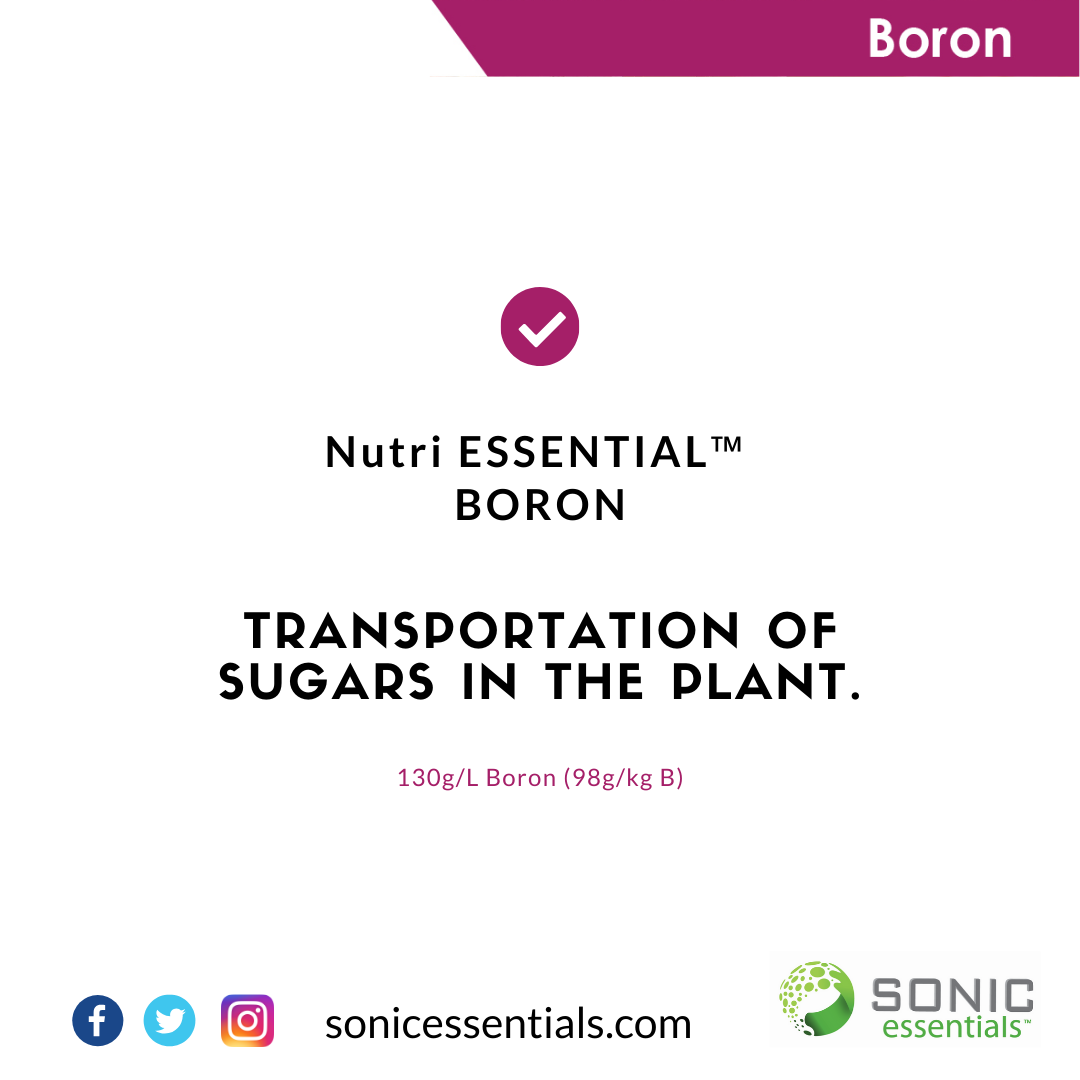 SonicEssentials's tweet photo. #NutriEssentials #Boron easy flowing liquid with unique #patented amino acid package. 130g/L (98g/kg) https://t.co/QOfgYMiRUR