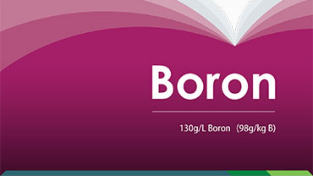 SonicEssentials's tweet photo. #NutriEssentials #Boron easy flowing liquid with unique #patented amino acid package. 130g/L (98g/kg) https://t.co/QOfgYMiRUR