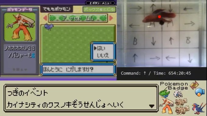 個性派ポケモン実況者からアンジャ児嶋まで Twitterでバズを起こしたyoutubeチャンネルをピックアップ Real Sound リアルサウンド テック