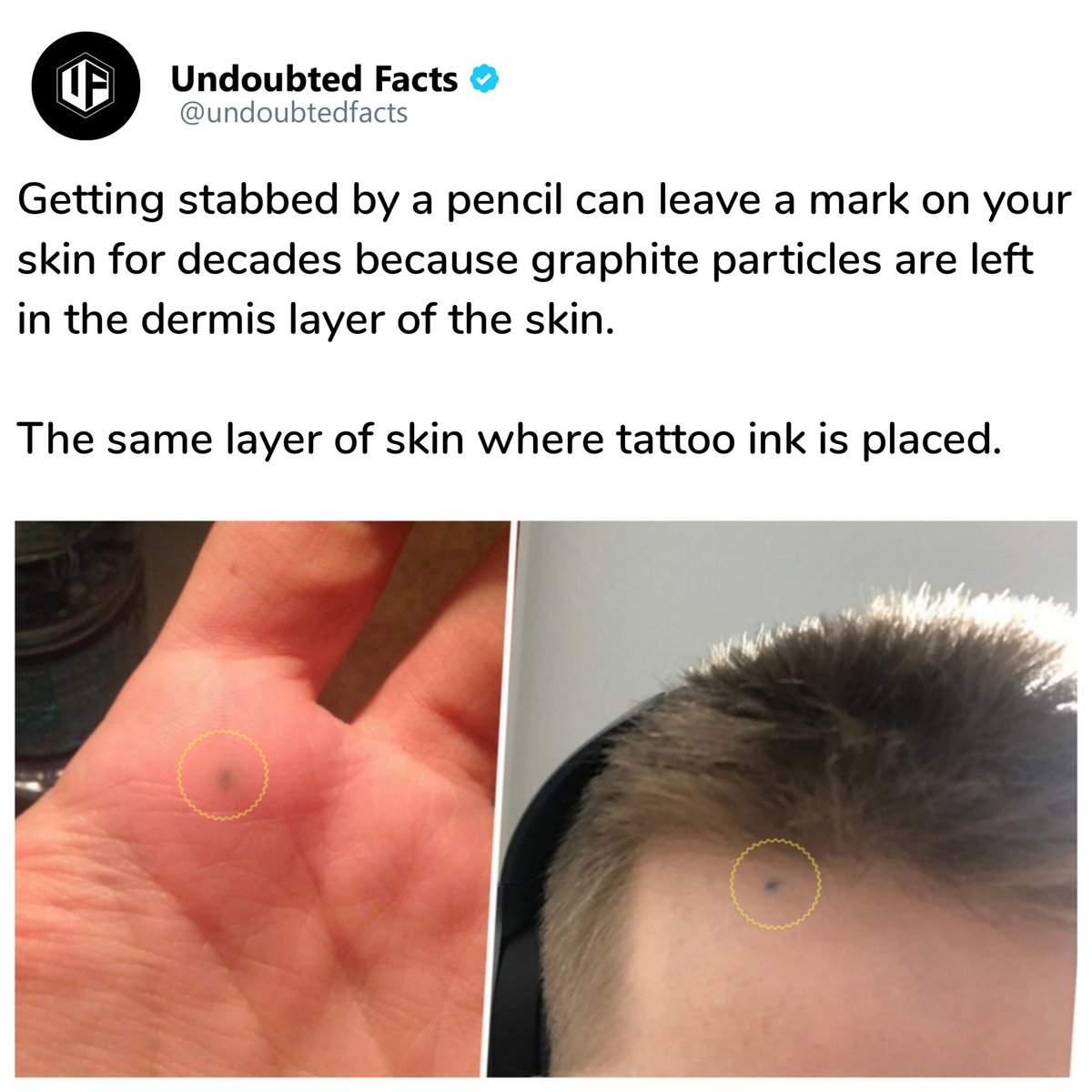 undoubtedfacts's tweet photo. Did you know?
#fun #funfact #model #socialenvy #wearabletherapy #food #smile #diy #didyouknow #brain #lol #wtf #fact #sunset #swag #throwbackthursday #instagood #facts #friends #nike #funny #blue #factsonly #realshit #photo https://t.co/MOxRuTEBCm https://t.co/D66IH1ilbv https://t.co/3aEFPlmRyc