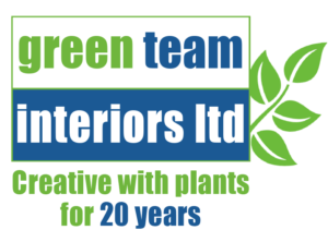 Plant_HQ's tweet photo. Day 2 of National plants@work Week and today we are looking at the healthy benefits of #plants. 
@plants_atwork  #NationalPlantsatWorkWeek #greenteaminteriors #officeplants #workplaceplants 
https://t.co/meLQQK3n0O https://t.co/imbgVvBCUR