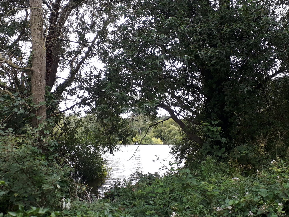 Around Harborough (@aroundharborou1) on Twitter photo 