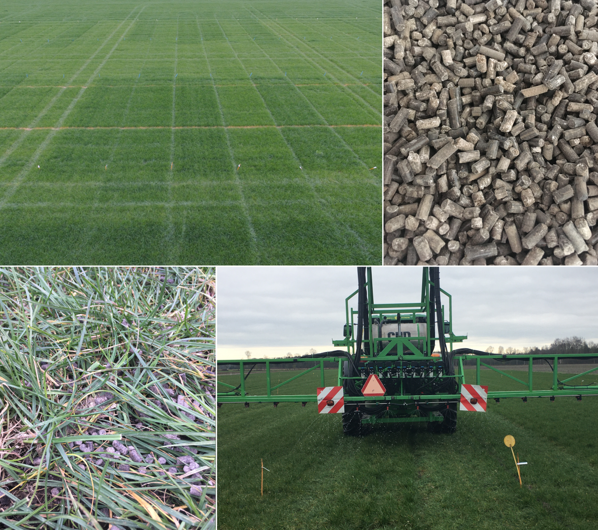 RUN4LIFE_H2020's tweet photo. Project partner @ForFarmers is performing #fieldtrials with ray grass, testing a #fertiliser product recovered from #foodwaste. The organo mineral pellets are similar to the product that will be recovered at the #Recolab of the #Run4Life demo-site #Oceanhamnen in #Helsingborg. https://t.co/bWh28mUsYc