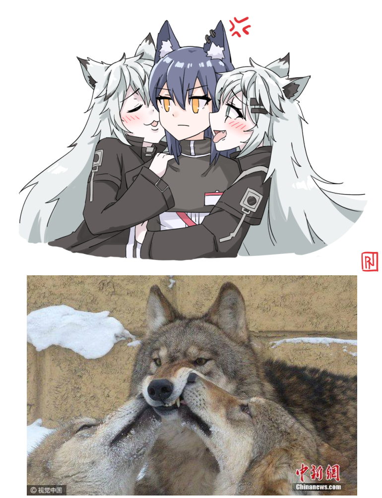 オオカミ

#アークナイツ #明日方舟 