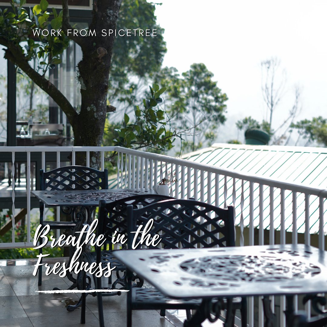SpiceTreeMunnar's tweet photo. Work from the comfort and luxury of Spicetree. To know more &amp; for special packages contact us. 
Phone: +919446003466
Email : booking@spicetreemunnar.com

#workfromspicetree #spicetreelife #spicetree #luxuryresort #munnar #kerala #godsowncountry https://t.co/PHVqKwDF6V