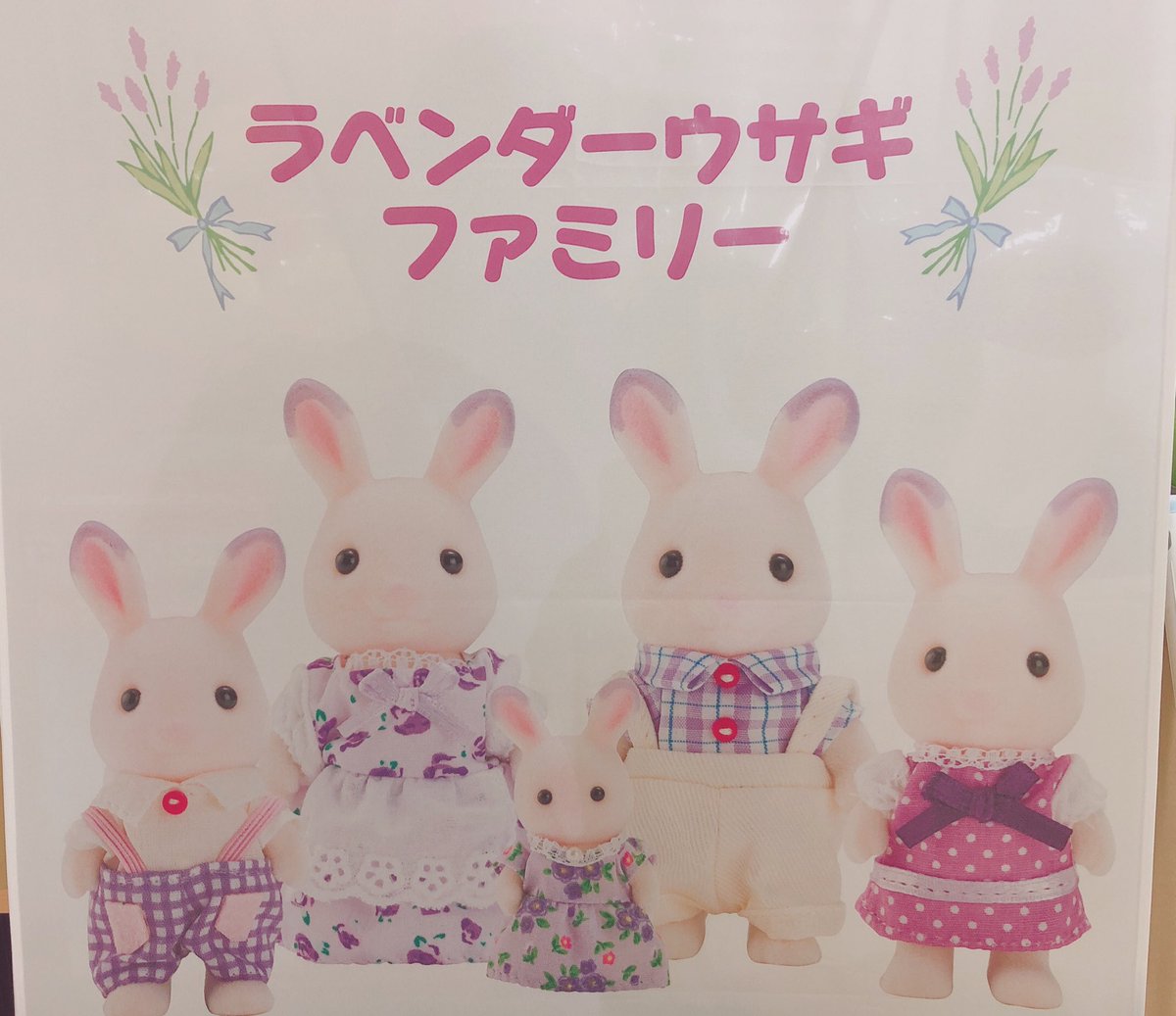 ファクトリーのイベントが今週末から始まります🐰☀️🐰 数店舗でしか