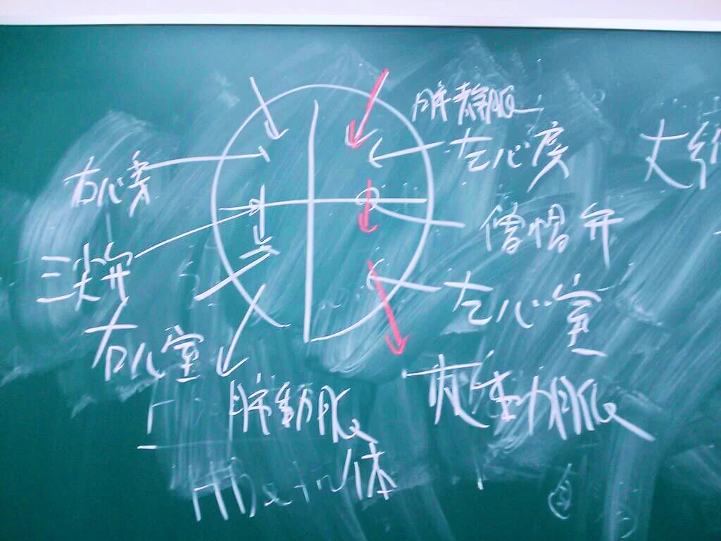 @ichiipsy こんな先生が良かったです😭
学生時代の先生の解剖図がわからん過ぎて板書あきらめて写メったけど、今見てもナニコレ… 