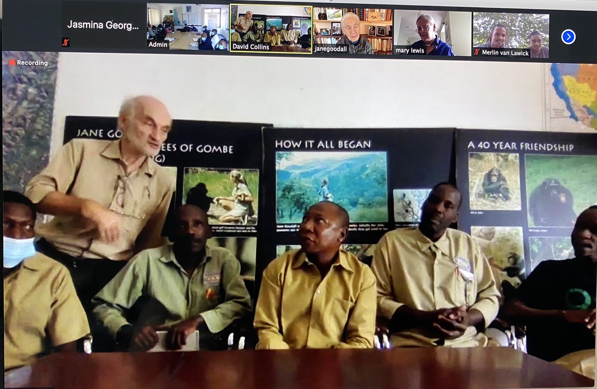 JaneGoodallUAE's tweet photo. Happening now: Dr Jane talking to JGI Tanzania teams in Gombe and Kigoma on the 60th anniversary of her arrival at Gombe. #Gombe60 #JGITanzania @janegoodallinst https://t.co/FpTQc2Jtsu