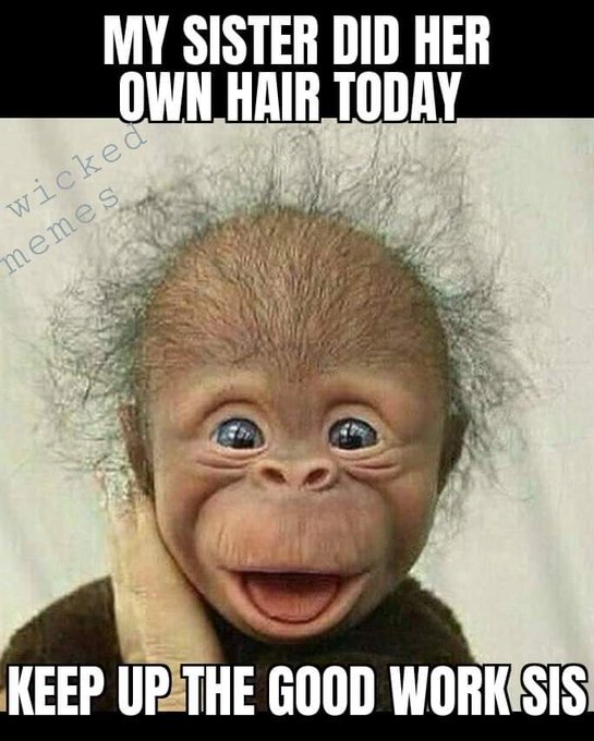 What a unique hairstyle😂😂😂 https://t.co/uQ510a6mFE<a href="/tag/party"class="tags"><span>#party</span></a><a href="/tag/chilltime"class="tags"><span>#chilltime</span></a><a href="/tag/musicfeels"class="tags"><span>#musicfeels</span></a>