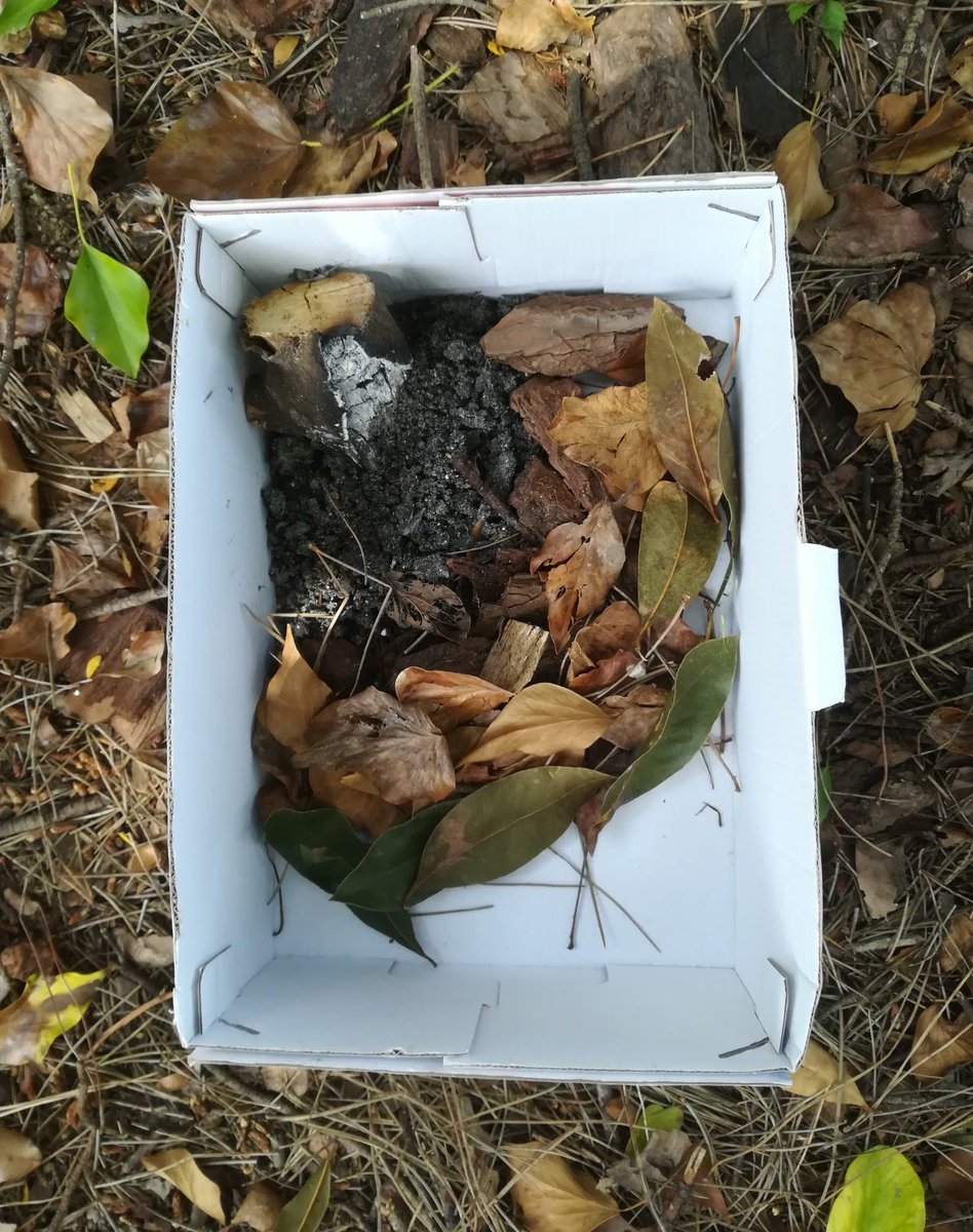 Txaumell's tweet photo. Preguntes sense pressa. 3a art i medi. Crear un ecosistema com els de Kathleen Vance, "Garraf" (la resiliència de la natura) #55EE #rosasensat #ArtThinking #emergènciaclimàtica #garraf https://t.co/u63tKsL7Zx