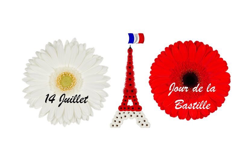 C'est le 14 juillet! Nous souhaitons à tous les Français une belle fête nationale aujourd'hui! Nous espérons que ce sera une merveilleuse fête pour tous, malgré les mesures Corona. Profitez de ce Jour de la Bastille!
