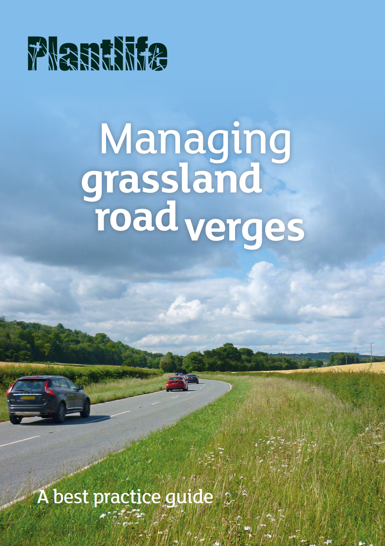 Management 1. Create high quality habitats on new/existing road vergesObvious, but doing so in the first instance is much easier than retrofitting. See the wonderful work of  @PhilSterling3/ @DorsetCouncilUK & other egs in  @Love_plants Best Practice Guide:  https://www.plantlife.org.uk/uk/our-work/publications/road-verge-management-guide