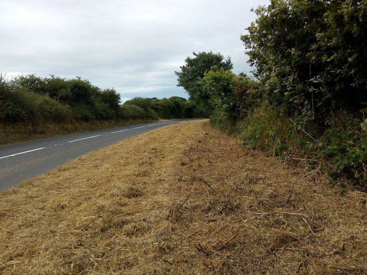 Management 2. Reduce mowing frequency to 0-2 cuts/yearMowing = important for maintaining grasslands and can be important for providing visibility and safety for road users.BUT mowing is often excessive, which removes flowers & probably kills pollinators/eggs/larvae.