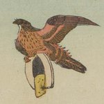 main image of this resource