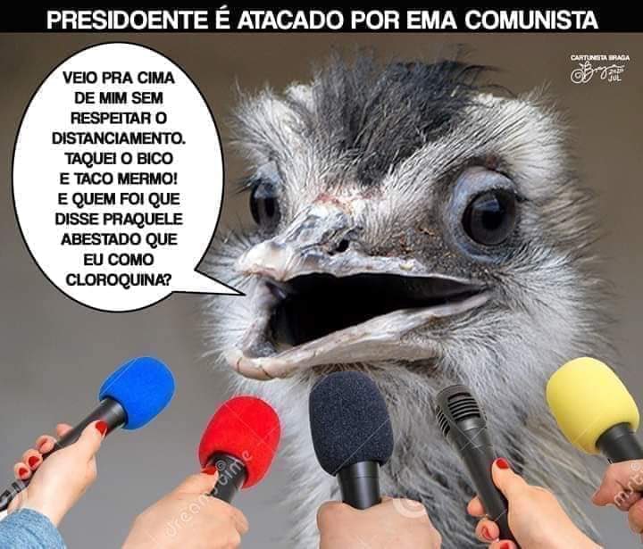 Lute como uma ema.
