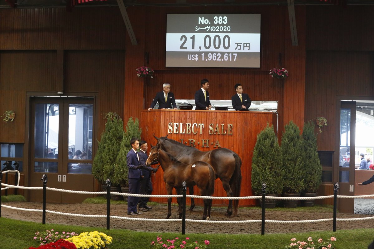 ট ইট র 競馬ブック セレクトセール 上場番号3番 シーヴの 牡 父ハーツクライ が 三輪ホールディングに２億1000万円で落札された 同馬は米ｇ１ ケンタッキーオークス勝ち馬キャスリンソフィアの半弟 T Co Hhss5bgdmg Selectsale