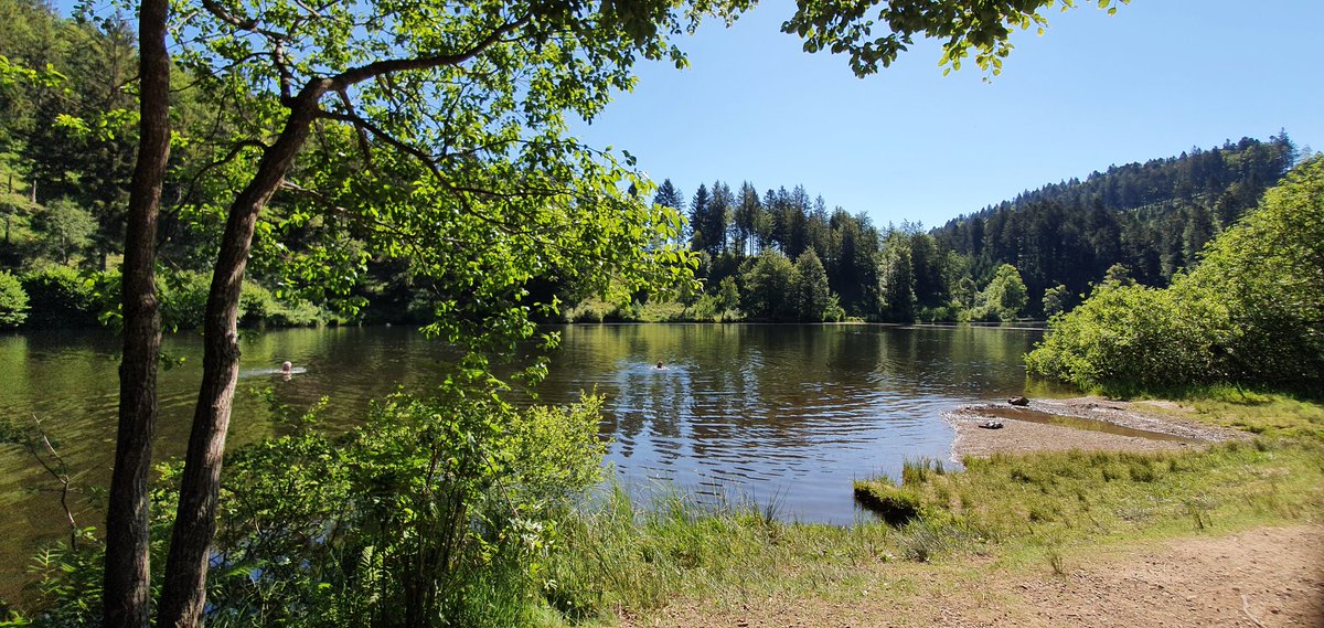UtaJacques's tweet photo. @campbellclaret @LouisaAliceF I think you might enjoy going for a swim here. It's the Nonnenmattweiher, circa 30 minutes drive from your hotel. https://t.co/Jv9VZaalw8