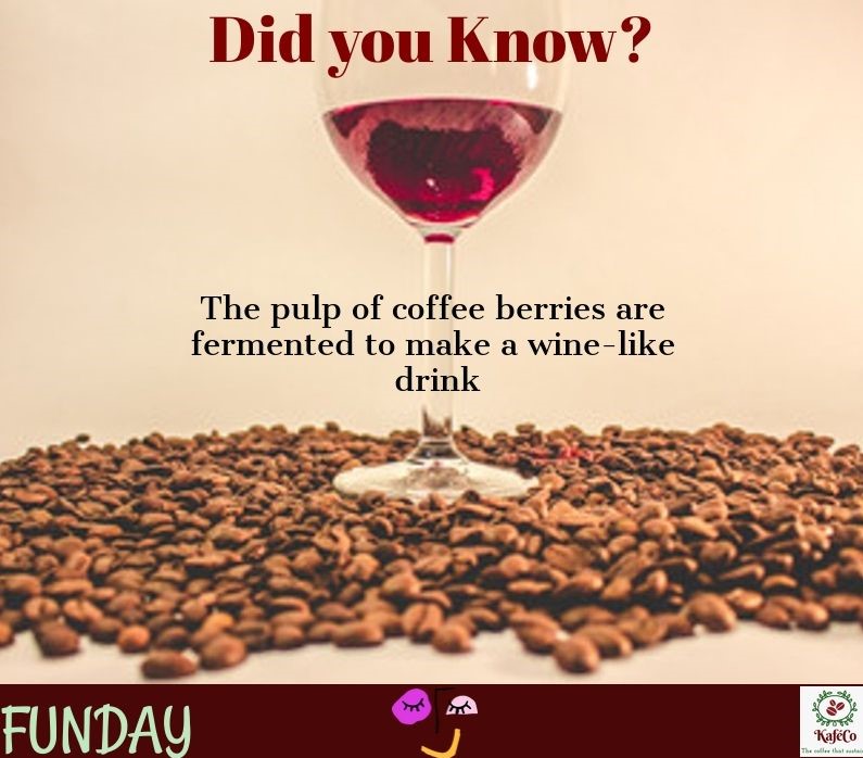 The_Kafeco's tweet photo. Coffee Facts!
#coffee #wholebeans #solublecoffee #instantcoffee #coffeebeans #organiccoffee #organiccoffeeonline #greenbeanscoffee #indiancoffeebeans #coffeetime #filtiringcovid #coffeesustainability #organiccoffeebean #coffeeculture #coffeelover #coffeeonline #coffeeholic #beans https://t.co/hfArxGjfh5