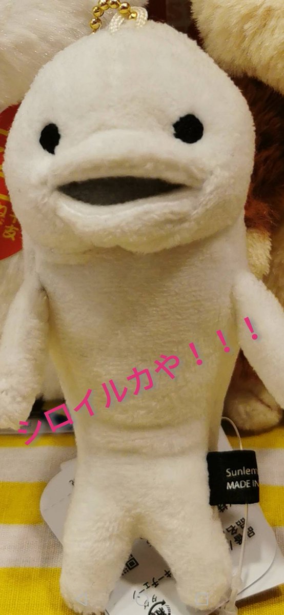 redbros_v's tweet photo. 動物漫才 https://t.co/TcnrEPX19X