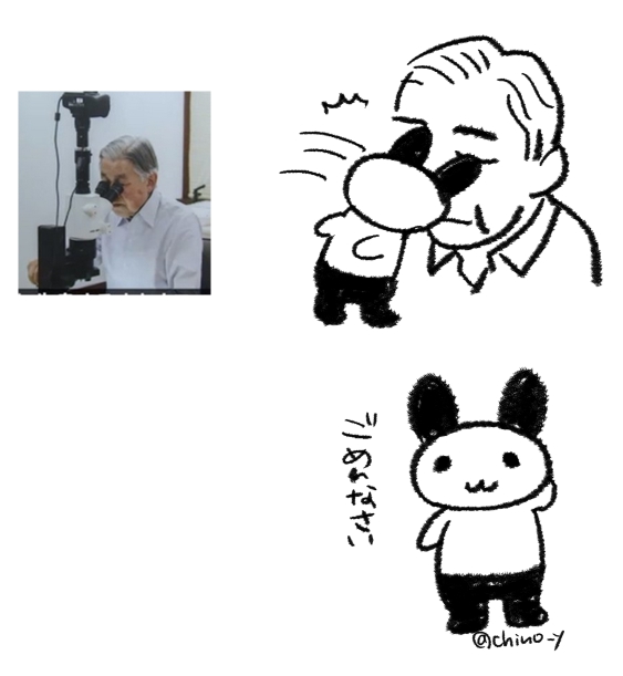 ちょっと椅子の背もたれにもたれかかってモニタ遠くからこの写真見てたもんだからめっちゃかわいいパンダうさぎのぬいぐるみの耳を目にバッサーされてるのかなって見えてやっぱメガネのレンズ変えてきます