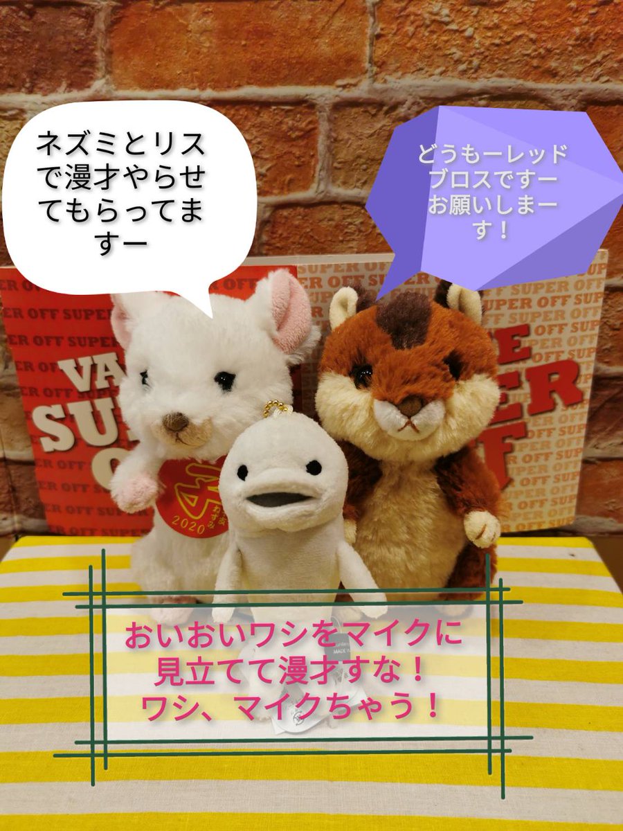redbros_v's tweet photo. 動物漫才 https://t.co/TcnrEPX19X