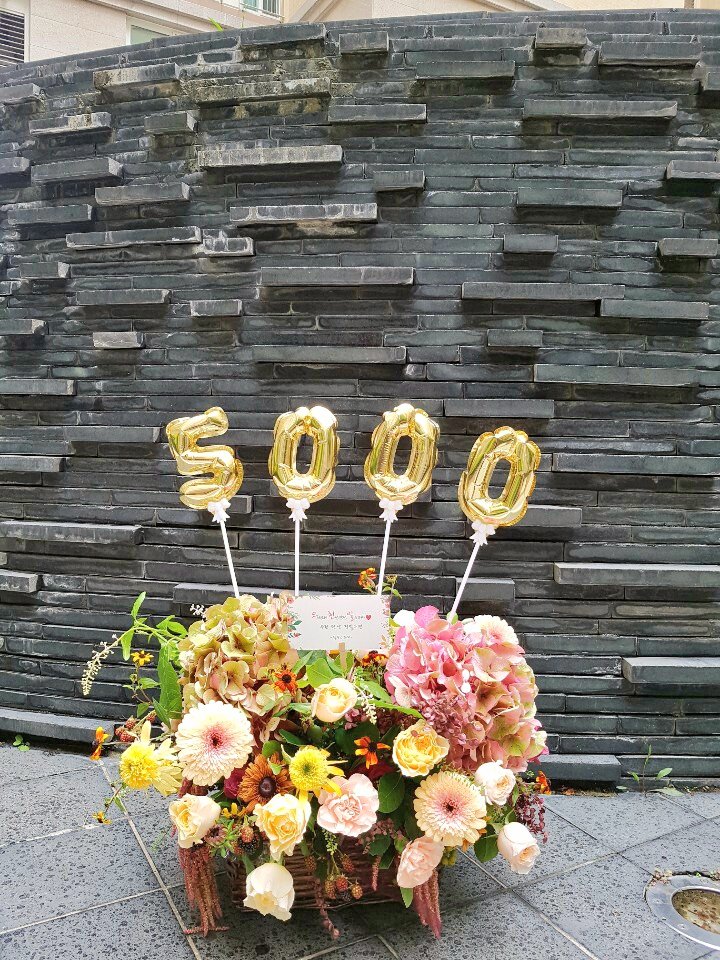 ilwoostory's tweet photo. 🌼 정일우 배우님 #데뷔5000일 🌼
정일우배우님의 데뷔 5000일을 기념하여 꽃바구니를 보내드렸습니다.❤
앞으로도 배우님께 꽃길만 가득하길💕
오래오래 천년만년 일우오빠♡ #오천일
우린항상 정일우편!😊
⠀
#일우스토리 #ilwoostory
#정일우 #정배우 #jungilwoo #チョンイル #จองอิลอู #丁一宇 https://t.co/SFHULFXLCv