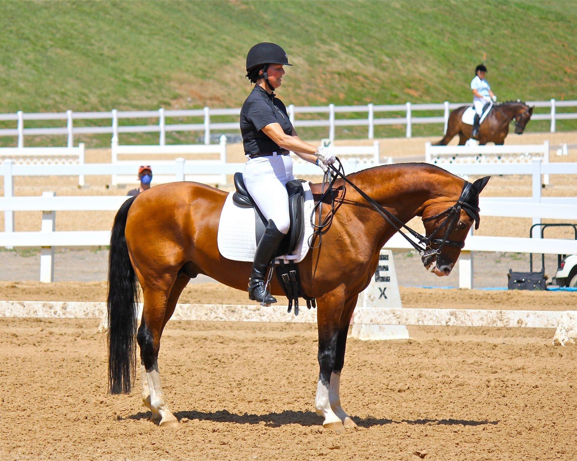 Twitter 上的akhal Teke Foundation Sabine Desper Riding Akhalteke Stallion Adamek Gindarkh X Agniya At Dressage At Lexington July 10 12 At The Virginia Horse Center T Co 5cgmubhuaz Twitter