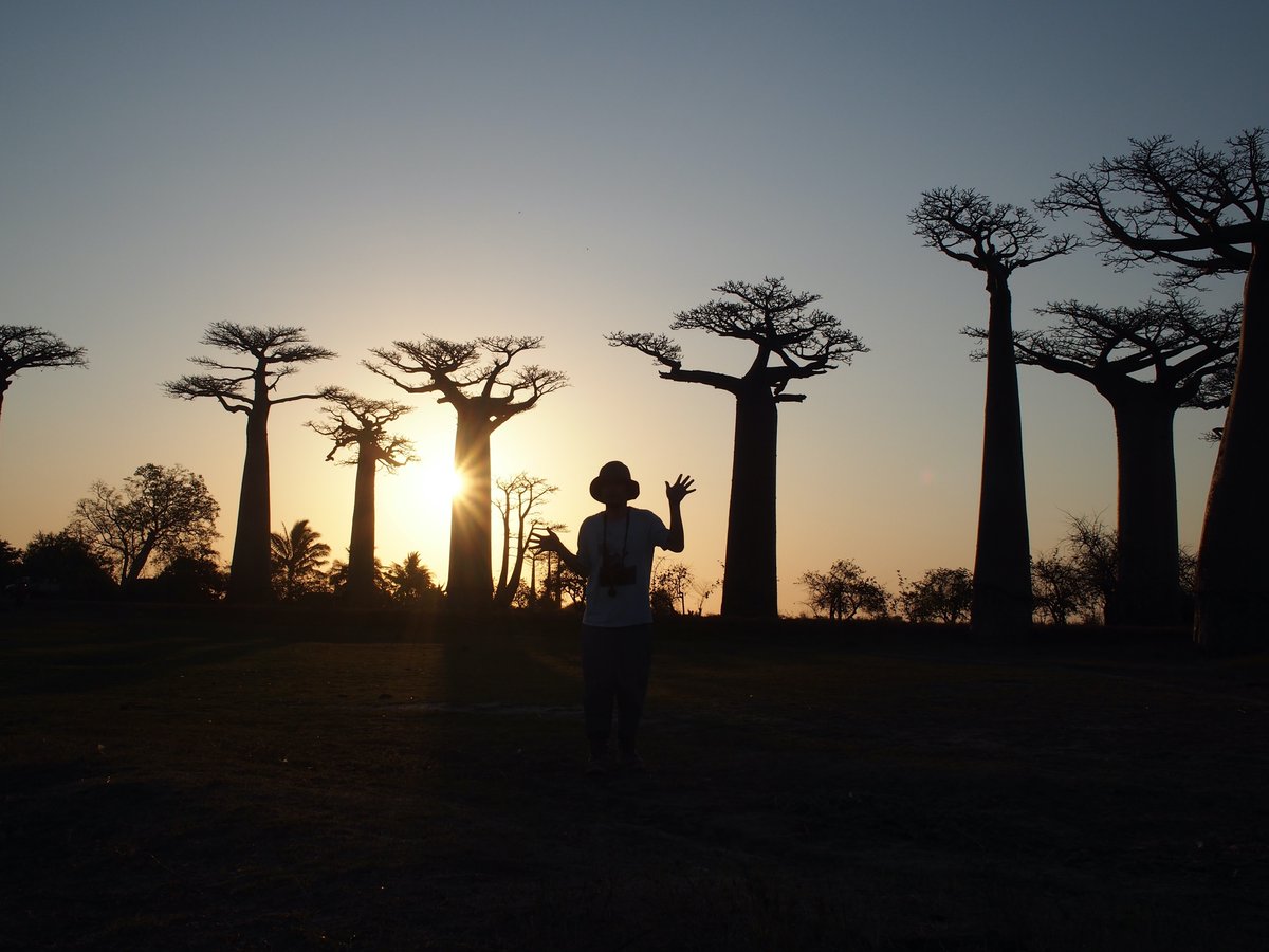 名久井 直子 いつかまたどこかへ行けるときまで わたしは Go To ってよくわからない英語なのも訝しんでいるよ