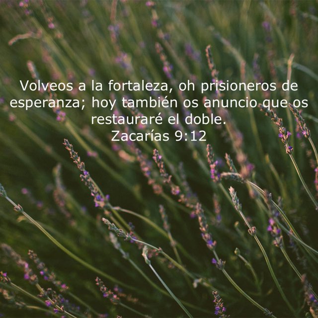 El Señor nos restaurará el doble.  bible.com/149/zec.9.12.r…