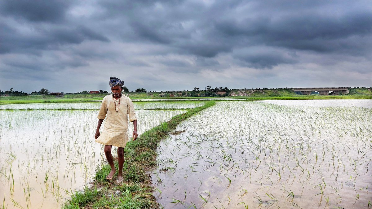 _Chikkipikki's tweet photo. WARRIOR 
(Shot on phone) #withgalaxy #samsung #samsunggalaxya71 #farmers #tuesdayvibes #farming #photooftheday #PMCares #nature #natgeo #natgeoyourshot #yourshotphotographer #darbhangadiaries #indiaclicks #rain #warrior #incredibleindia https://t.co/GCzzTqyj9P