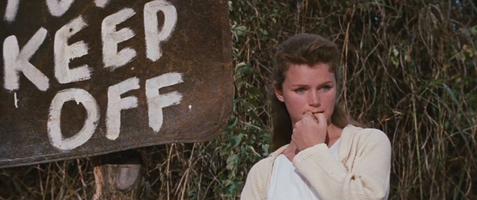 Lee Remick / Carol Garth Baldwin
Montgomery Clift / Chuck Glover
Wild River, Elia Kazan, 1960 https://t.co/SBUlIWZLnk