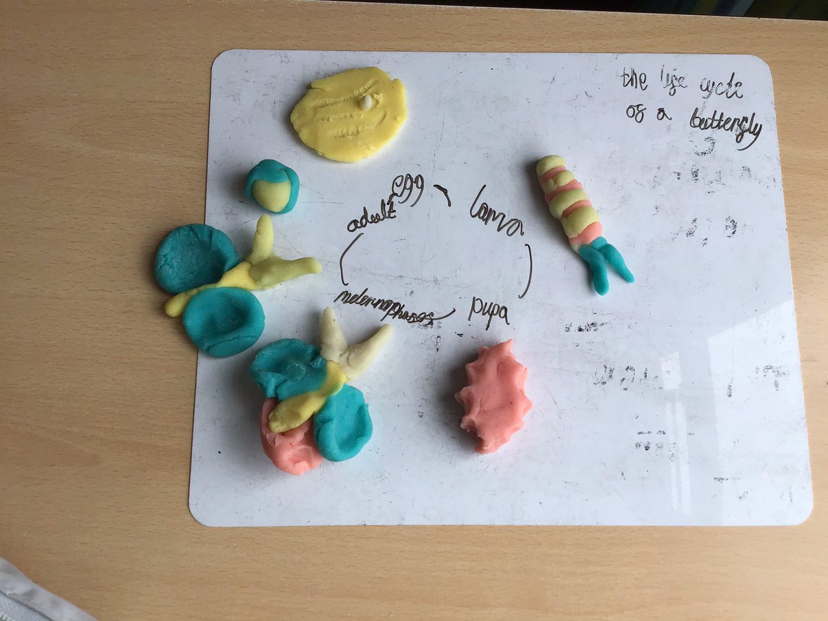 sarahpurplee's tweet photo. Have you signed up for tomorrow’s @pstt_whyhow @STEMLearningUK Pri Sci Conference, free,  loads of sessions. I’m doing #playdoughscience , come and join in https://t.co/mLzgmyQeoD