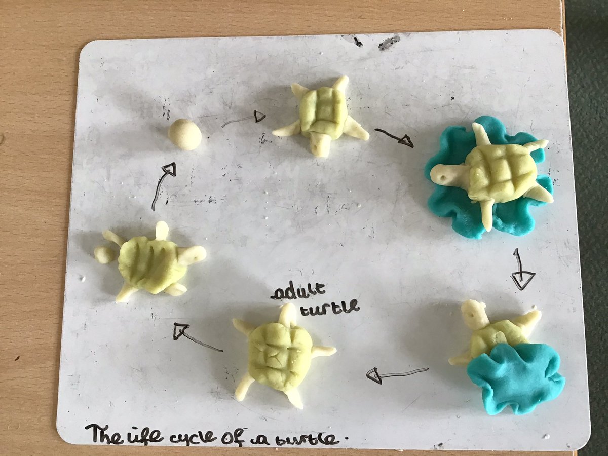 sarahpurplee's tweet photo. Have you signed up for tomorrow’s @pstt_whyhow @STEMLearningUK Pri Sci Conference, free,  loads of sessions. I’m doing #playdoughscience , come and join in https://t.co/mLzgmyQeoD