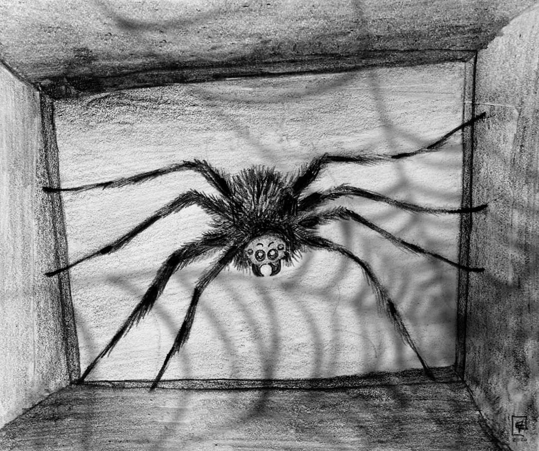 CCroocks's tweet photo. Soy Cece Delgado, autora boliviana de cómics.
Me encantan los cuentos infantojuveniles ambientados en una atmósfera terrorífica, misteriosa y picaresca.
Me encanta la nostalgia, lo psicológico y el humor negro 🕷️👀👻👽💀😿💖
#NobodyArtistClub
#imsomebodyartistclub https://t.co/N1kHSDwv5d